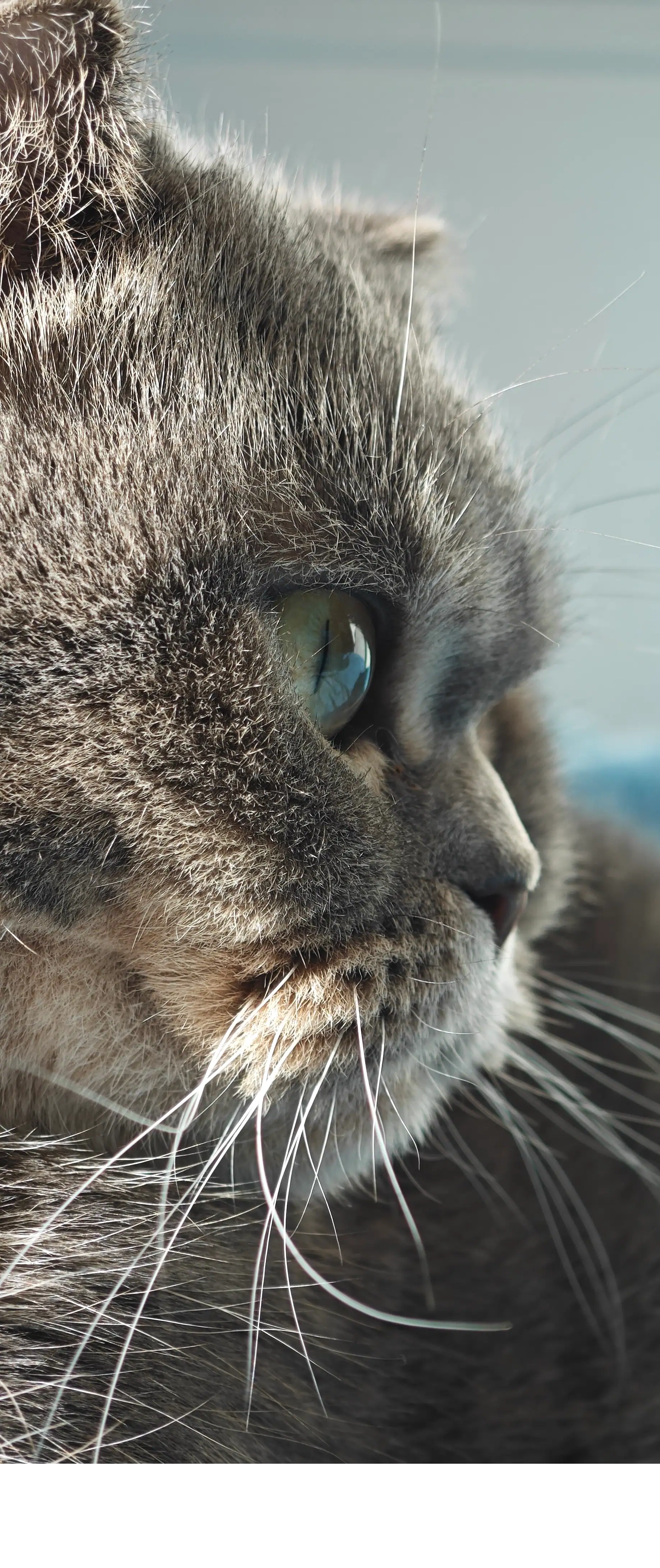 My portrait photo My portrait photo